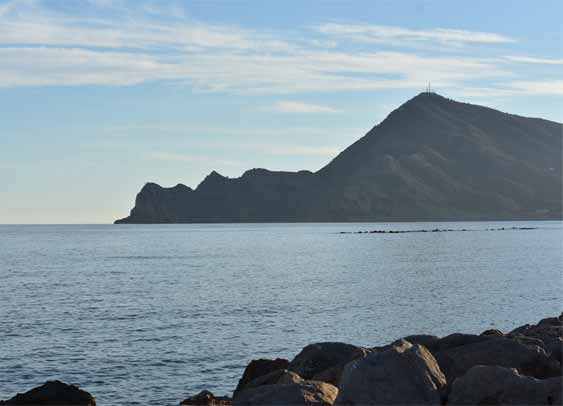 flota  Marina baixa