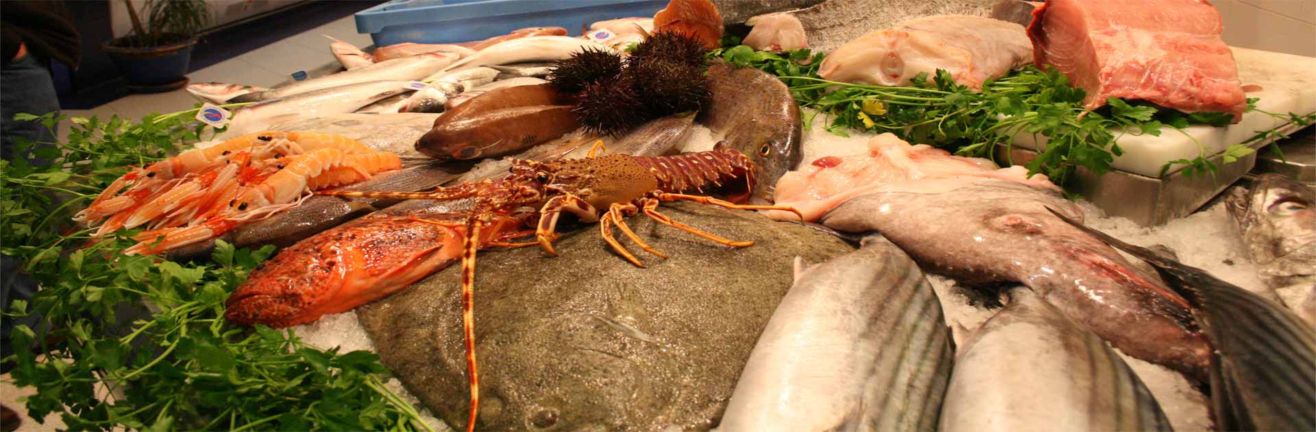 pescados moltó